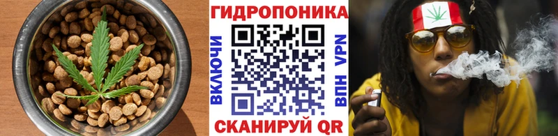 Canna-Cookies конопля  Кашира 