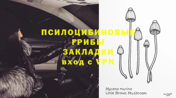 а пвп мука Елизово