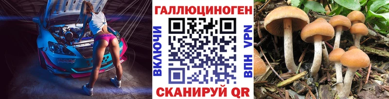 хочу   Кашира  Псилоцибиновые грибы MAGIC MUSHROOMS 