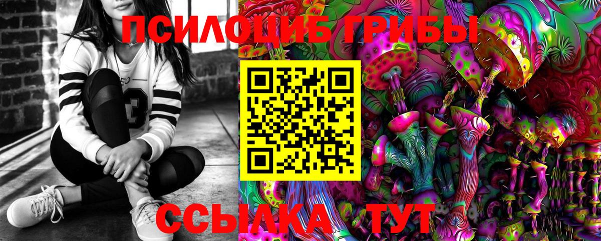 Галлюциногенные грибы прущие грибы  Галлюциногенные грибы Psilocybine cubensis  наркота  Кашира  Вход с VPN 