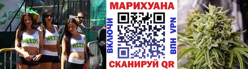 где можно купить наркотик  Кашира  Бошки марихуана тримм 